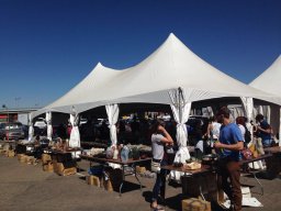 Denver Gem &amp; Mineral Show 2016